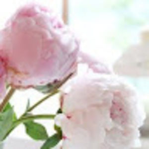 Meet your Posher, Oksana